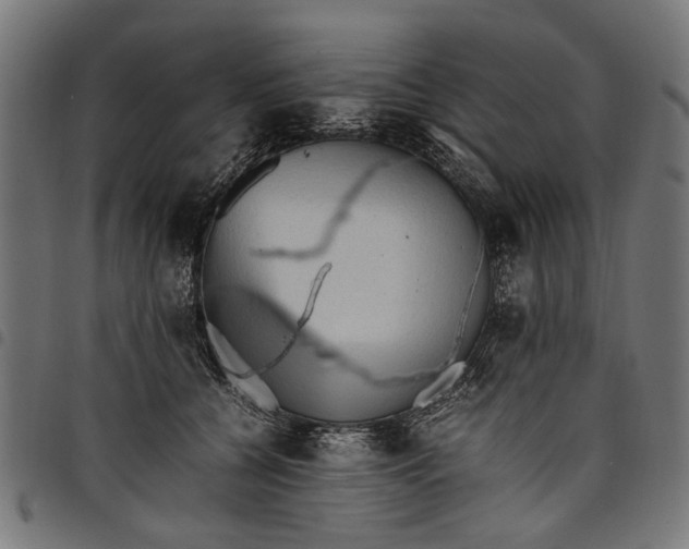 X0000097880560200803281226