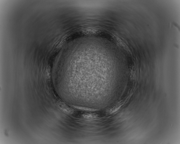 X0000097880561200803281226