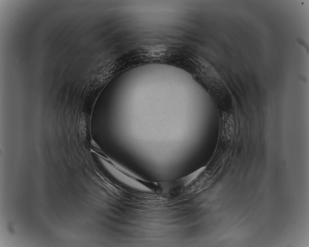 X0000097880562200803281226