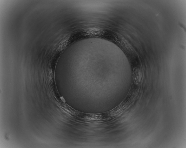 X0000097880563200803281226