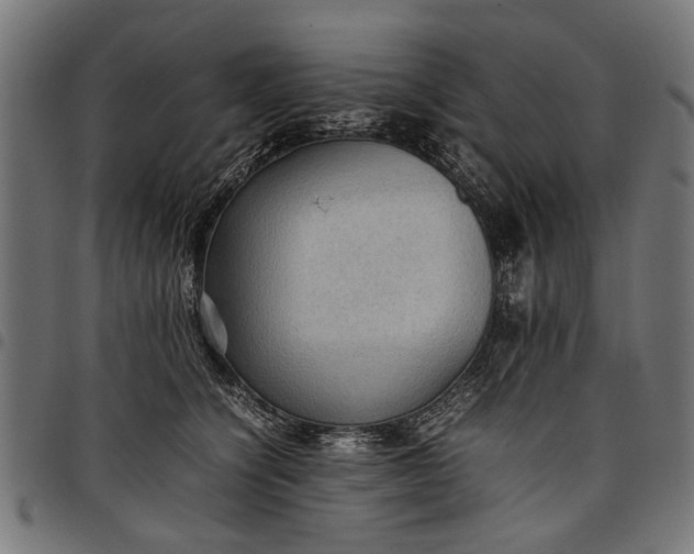 X0000097880564200803281226