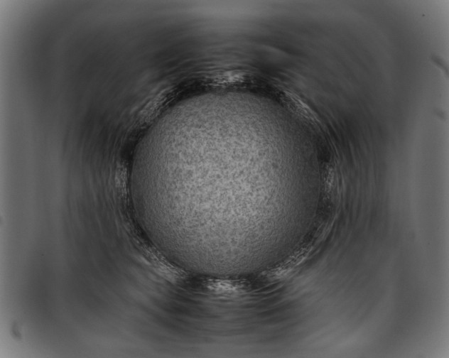 X0000097880565200803281226