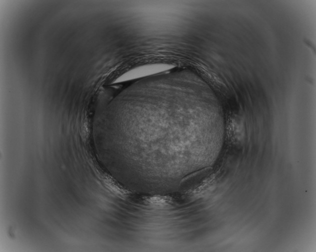 X0000097880566200803281226