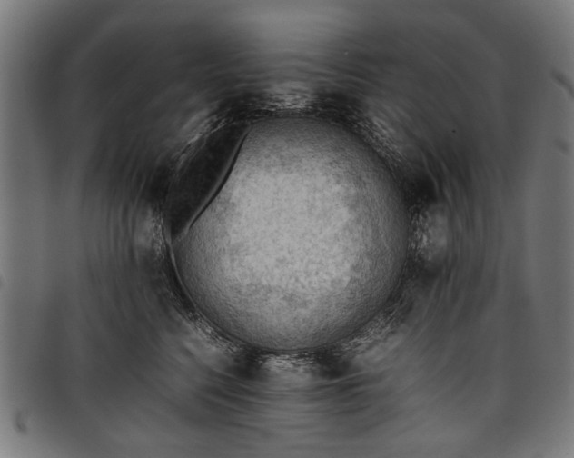 X0000097880568200803281226