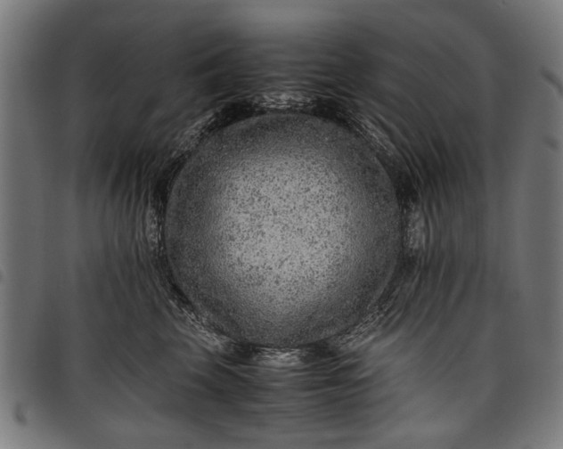 X0000097880569200803281226