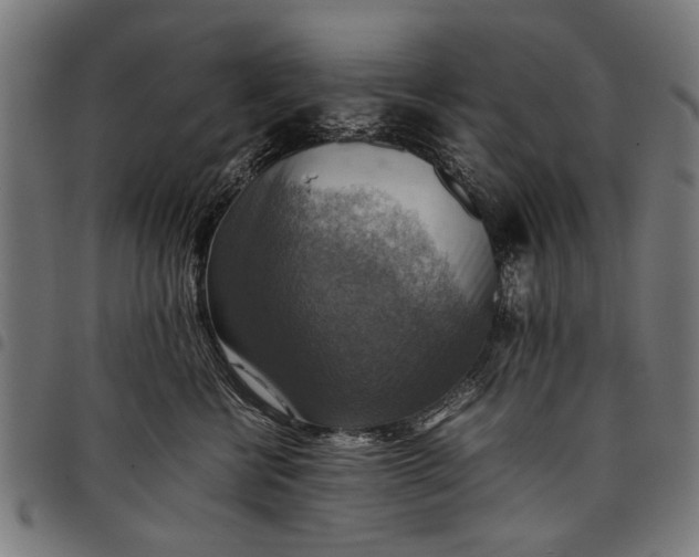 X0000097880570200803281226