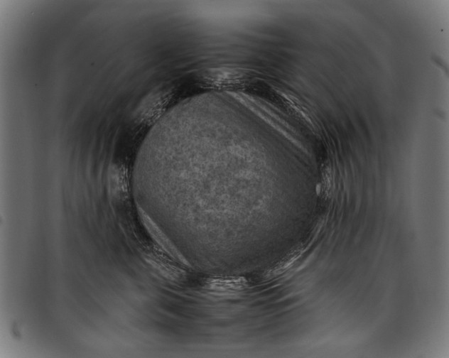 X0000097880571200803281226