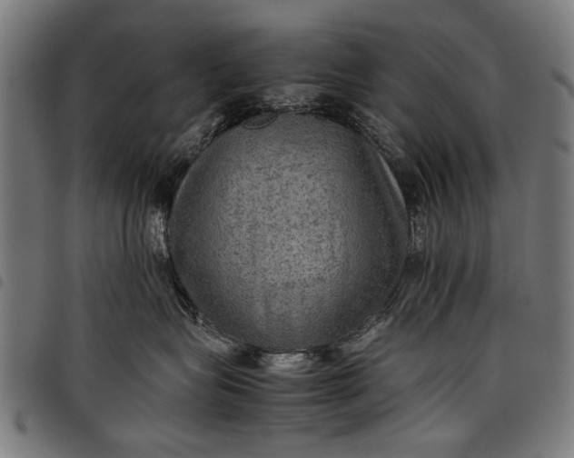 X0000097880575200803281226