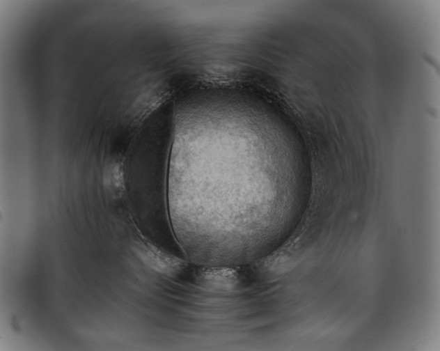 X0000097880576200803281226