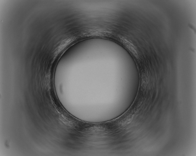 X0000097880578200803281225