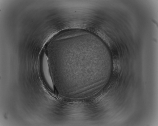 X0000097880580200803281225