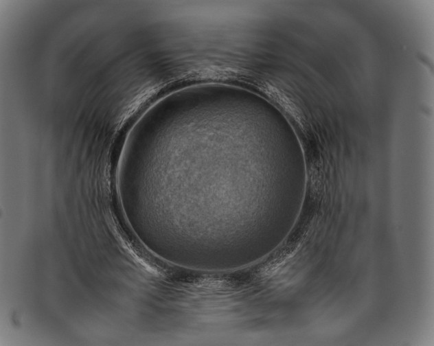 X0000097880581200803281225