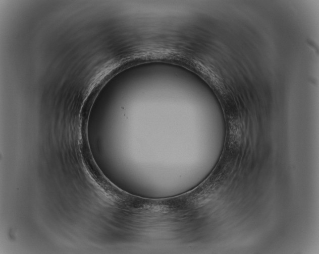 X0000097880582200803281225