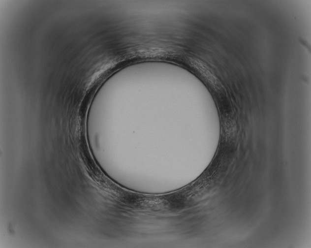 X0000097880583200803281225