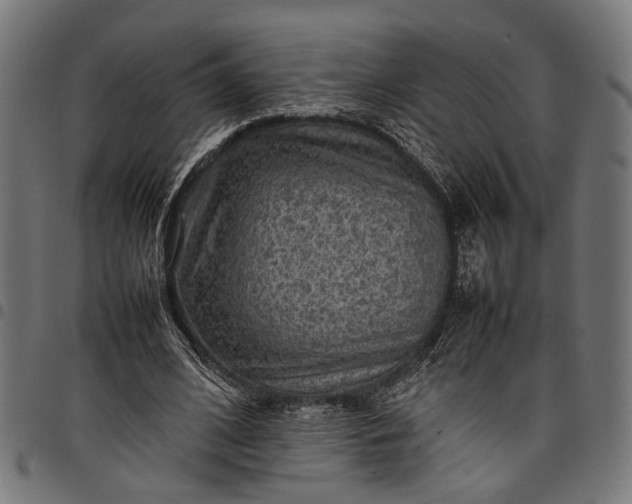 X0000097880584200803281225