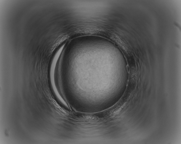 X0000097880585200803281225