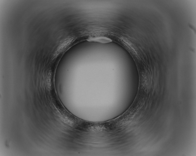 X0000097880586200803281225