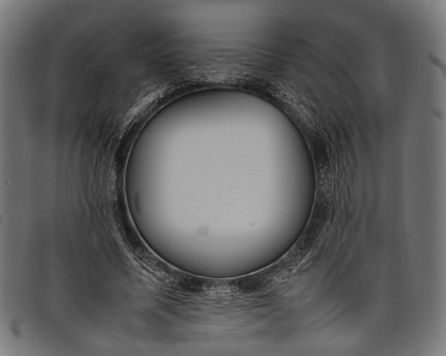 X0000097880587200803281225