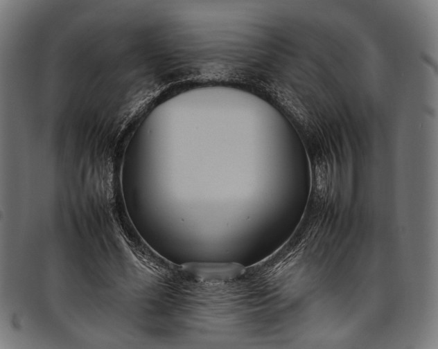 X0000097880588200803281225