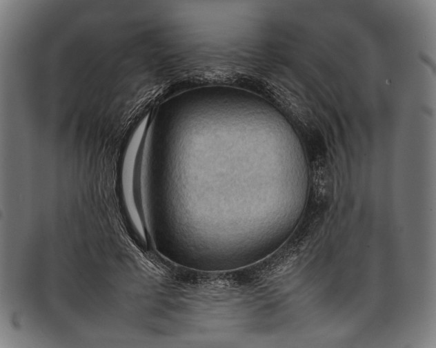 X0000097880593200803281225