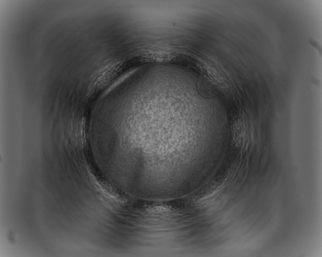 X0000097880594200803281225