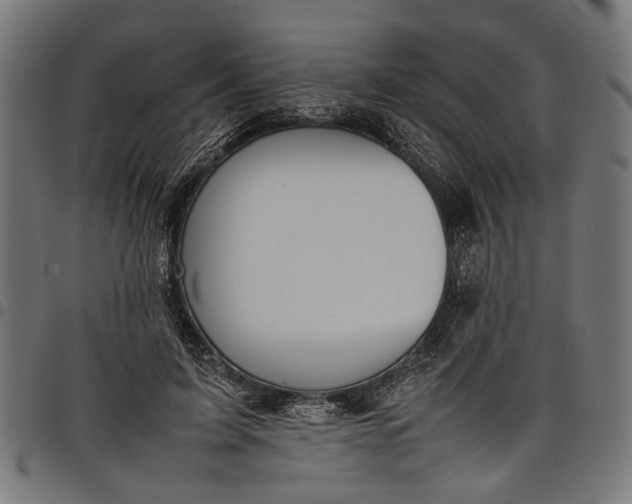 X0000097880595200803281225