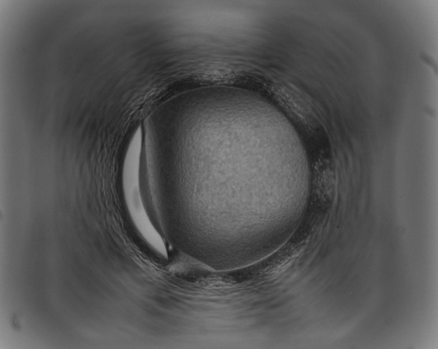 X0000097880597200803281225