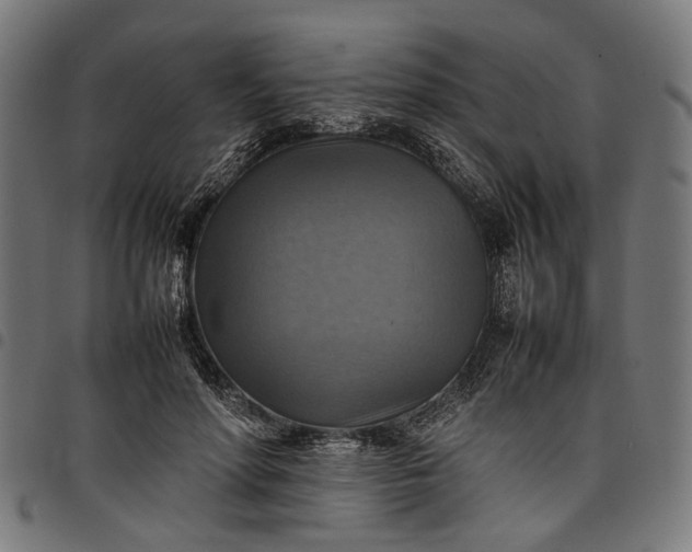 X0000097880598200803281225