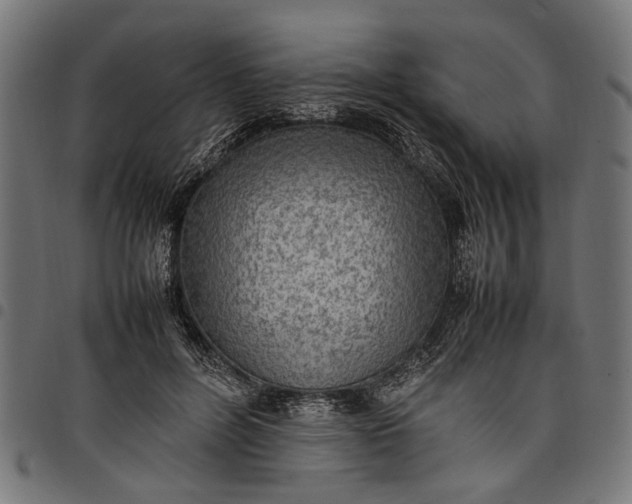 X0000097880600200803281225