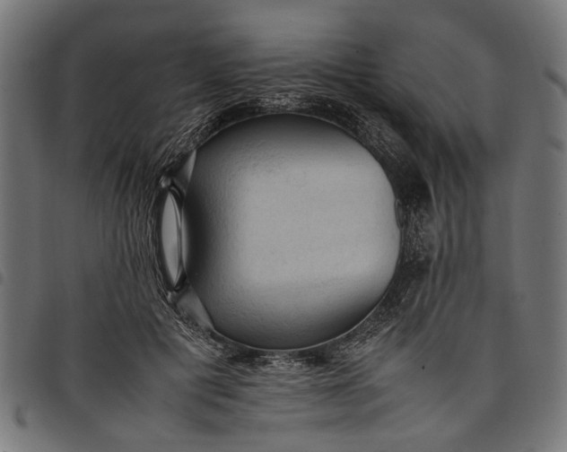 X0000097880601200803281225