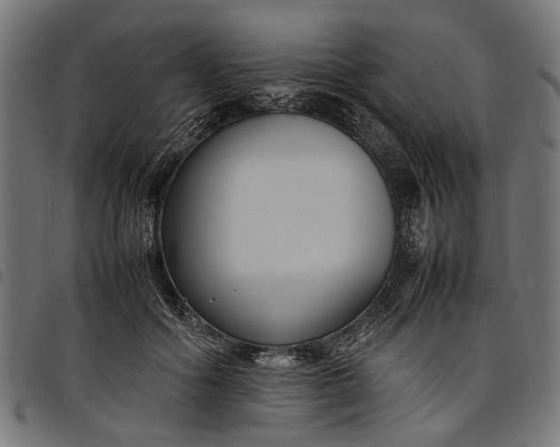 X0000097880602200803281225