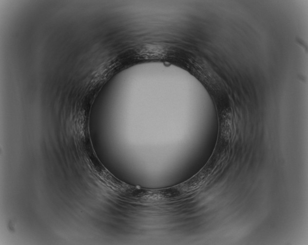 X0000097880604200803281225