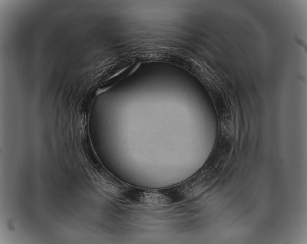 X0000097880605200803281225