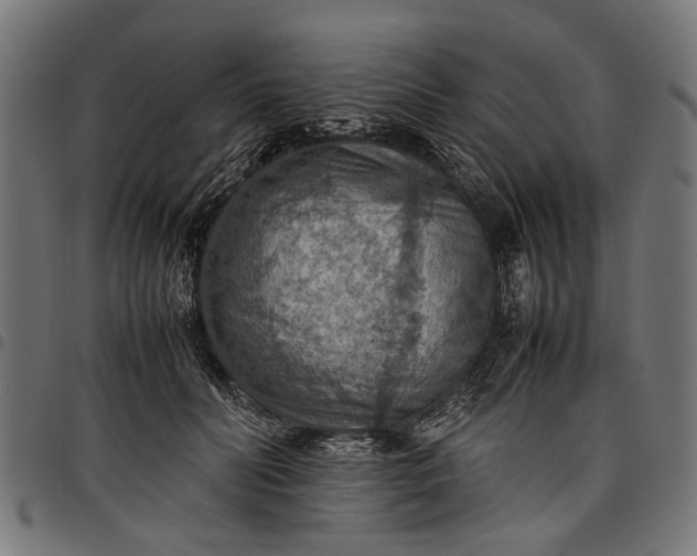 X0000097880606200803281225