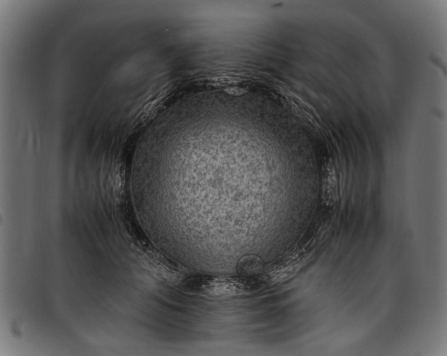 X0000097880608200803281225