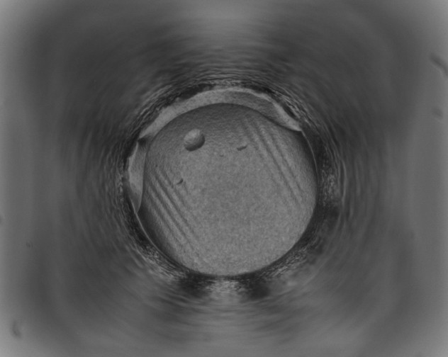 X0000097880609200803281225