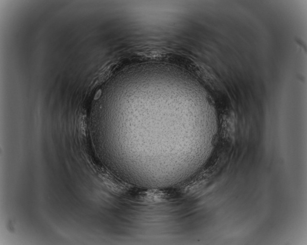 X0000097880612200803281225