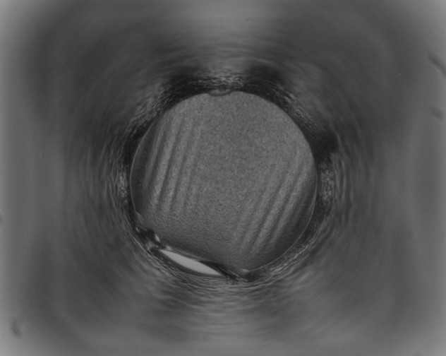 X0000097880613200803281225