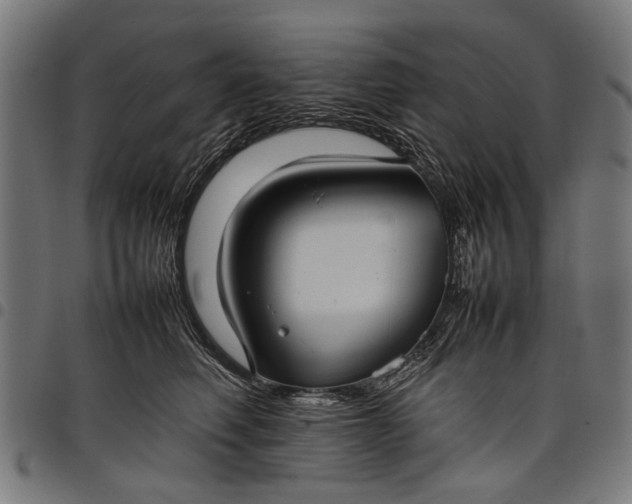 X0000097880614200803281225