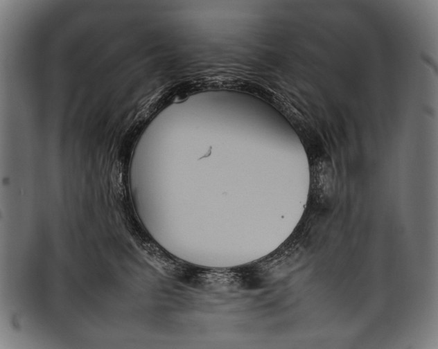 X0000097880615200803281225