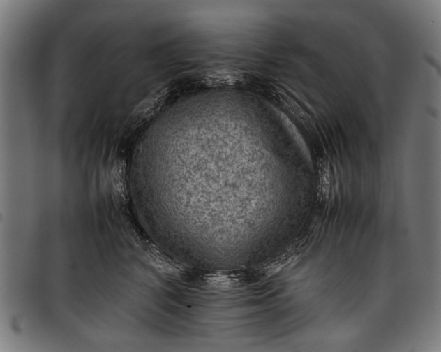 X0000097880616200803281225