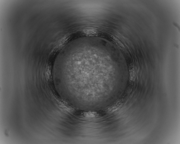 X0000097880618200803281225