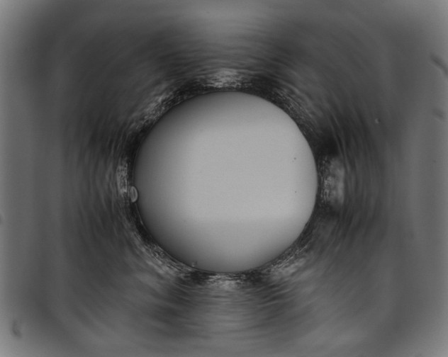 X0000097880620200803281225