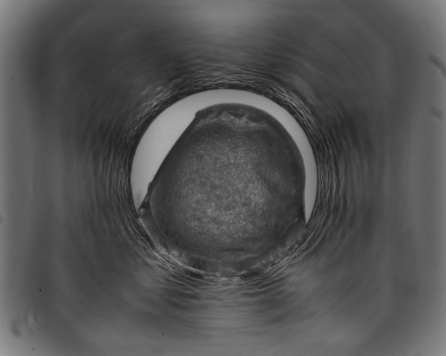 X0000097880621200803281225