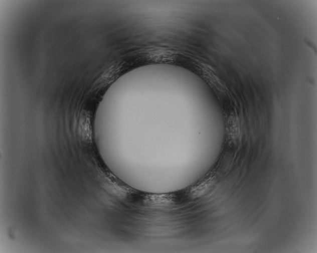 X0000097880622200803281225