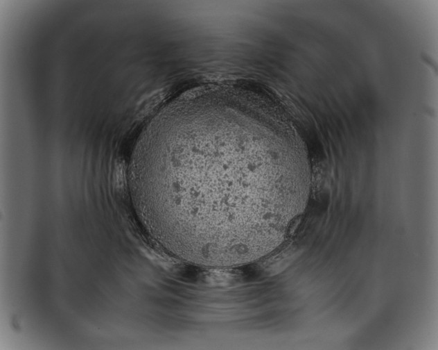 X0000097880623200803281225