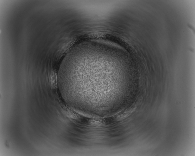 X0000097880624200803281225