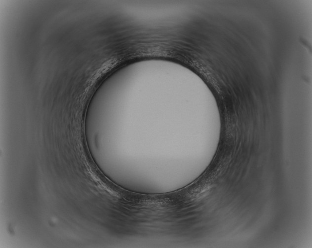 X0000097880625200803281224