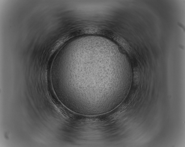 X0000097880626200803281224