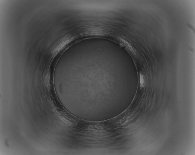 X0000097880627200803281224